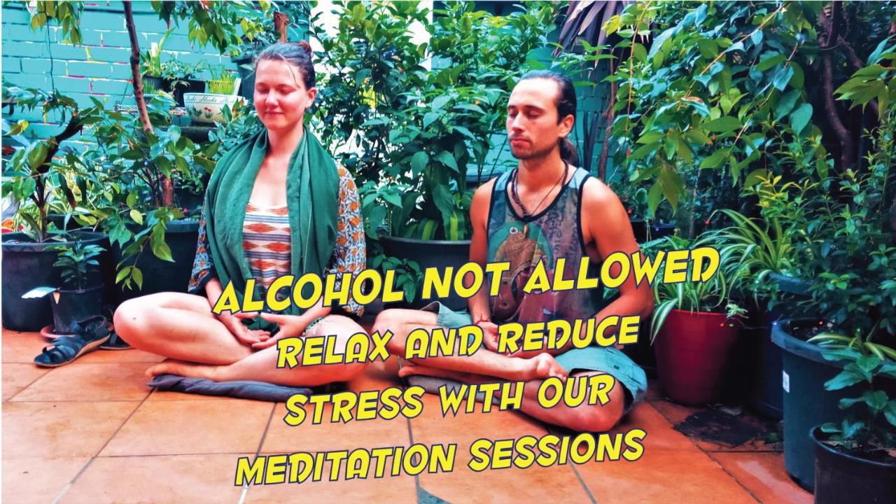 Zen Harmony House Sydney Hotell Eksteriør bilde