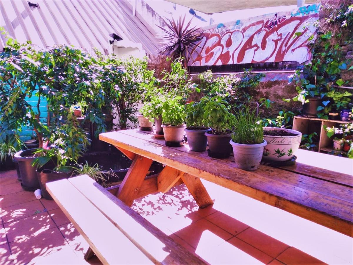 Zen Harmony House Sydney Hotell Eksteriør bilde