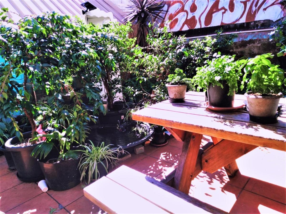 Zen Harmony House Sydney Hotell Eksteriør bilde